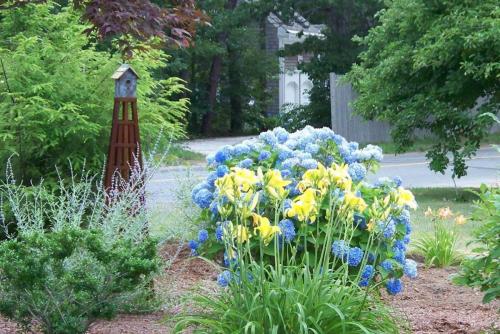 Iron Birdhouse Sculpture, Hydrangeas, Perennials